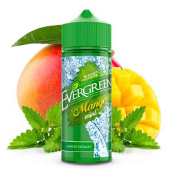 EVERGREEN - Mango Mint