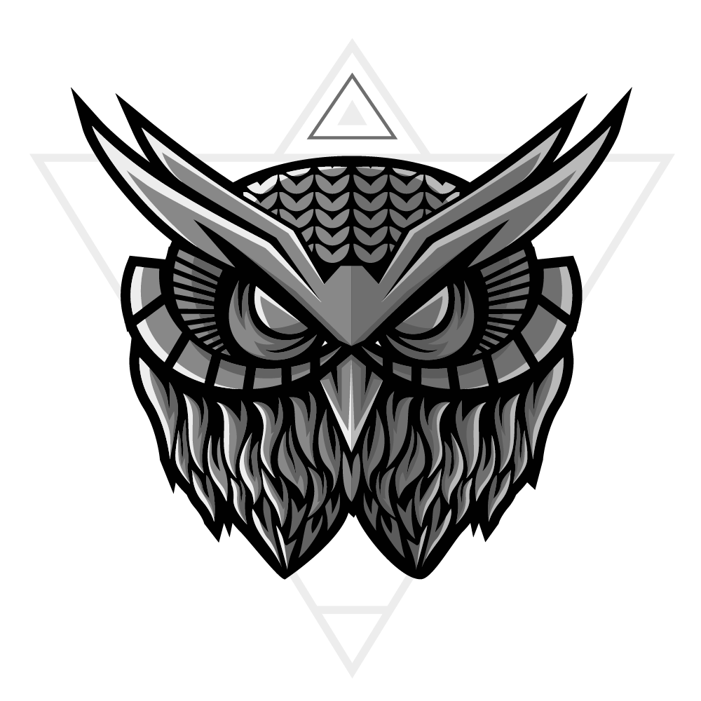 OWLIQ